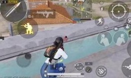 和平精英打击爆料视频,打击爆料视频背后的真相与内幕