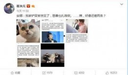 娱乐圈爆料人微博,揭秘明星幕后故事